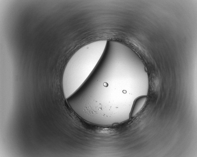 X0000096470467200801241142