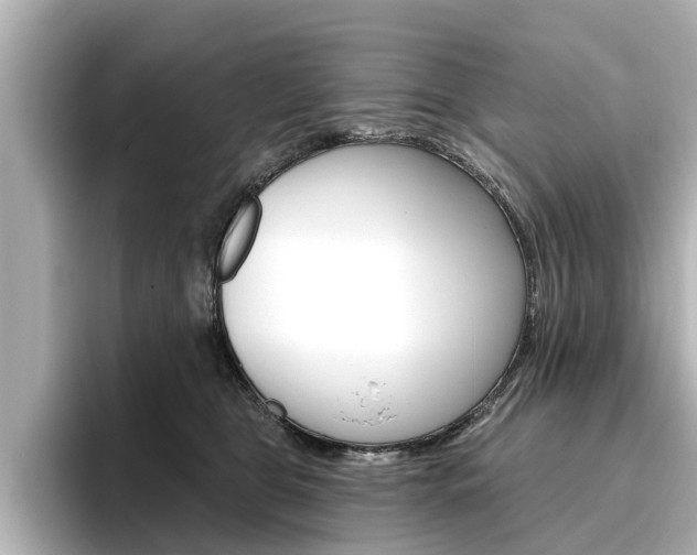 X0000096470469200801241142