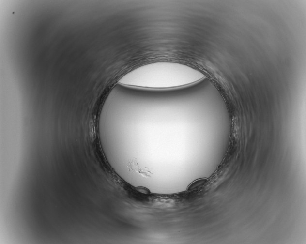X0000096470471200801241142