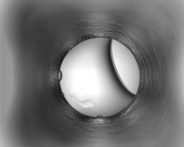 X0000096470473200801241142