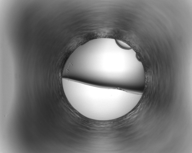 X0000096470479200801241142