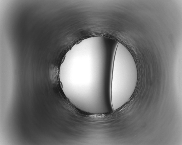 X0000096470480200801241142