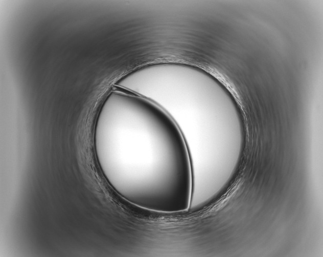 X0000096470481200801241141