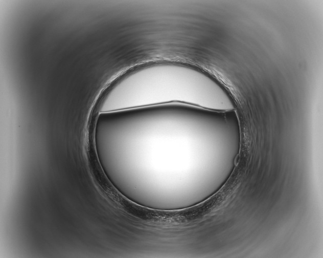 X0000096470488200801241141