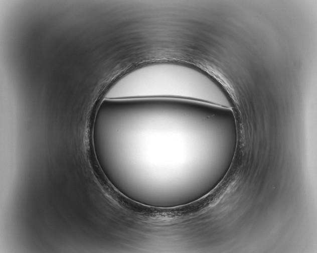 X0000096470489200801241141