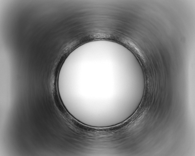 X0000096470490200801241141