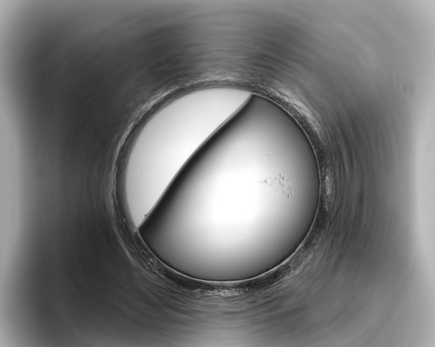 X0000096470492200801241141