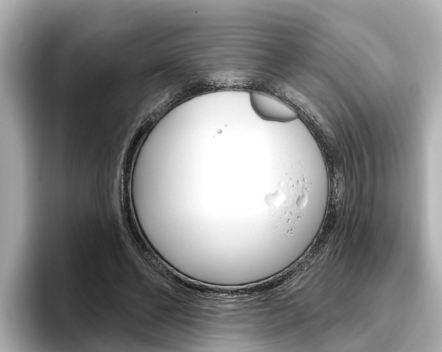 X0000096470494200801241141