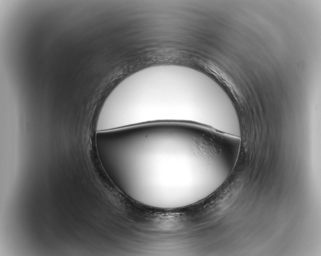X0000096470497200801241141