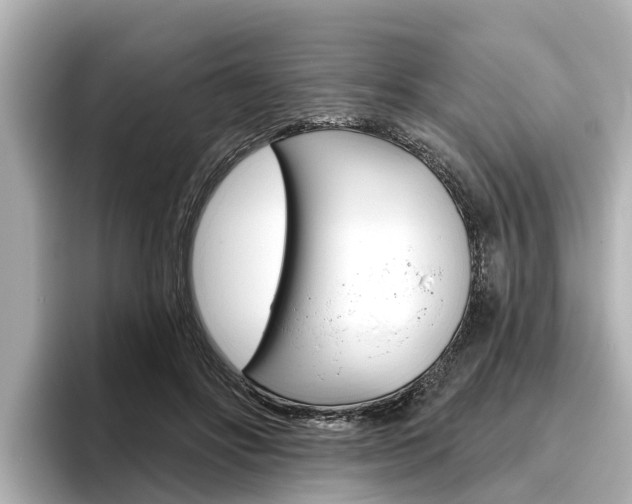 X0000096470502200801241141