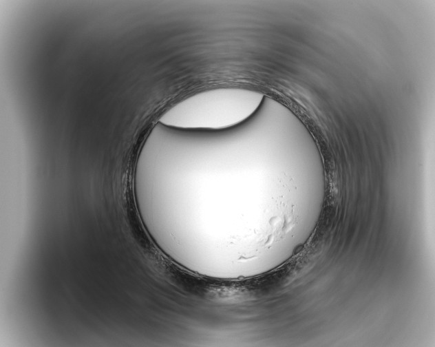 X0000096470503200801241141