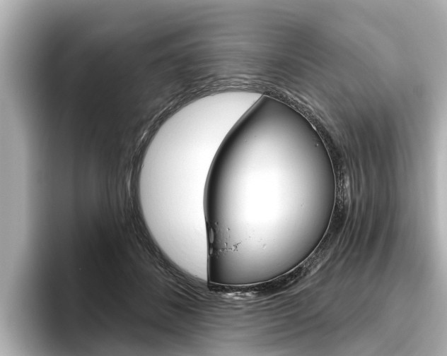 X0000096470508200801241141