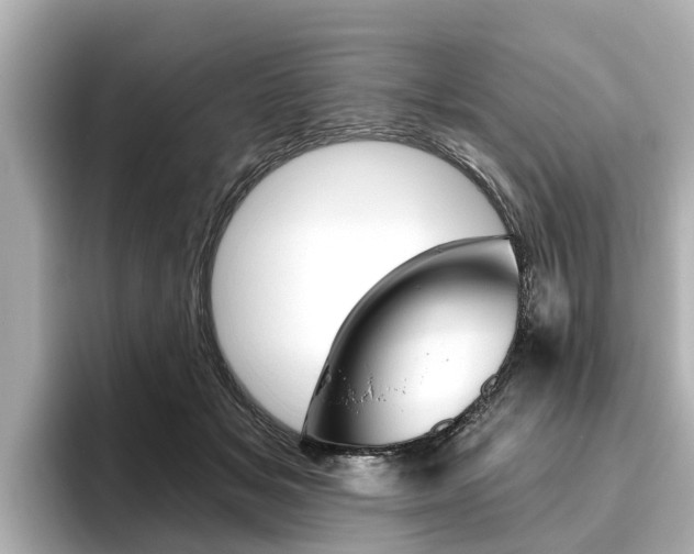 X0000096470509200801241141