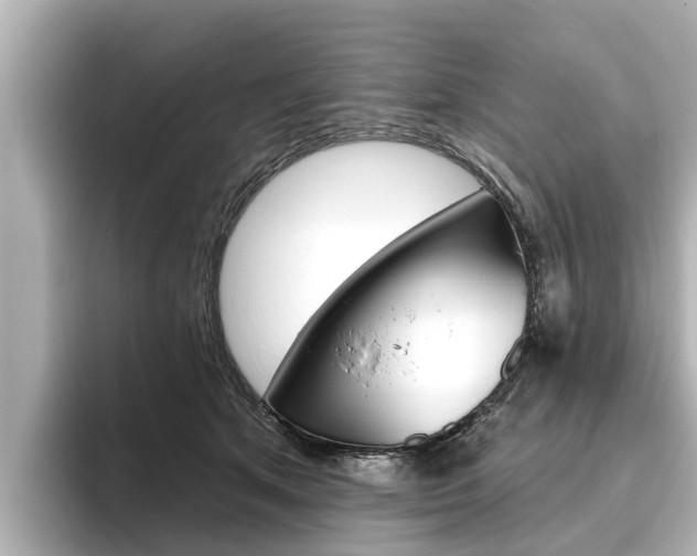 X0000096470513200801241141