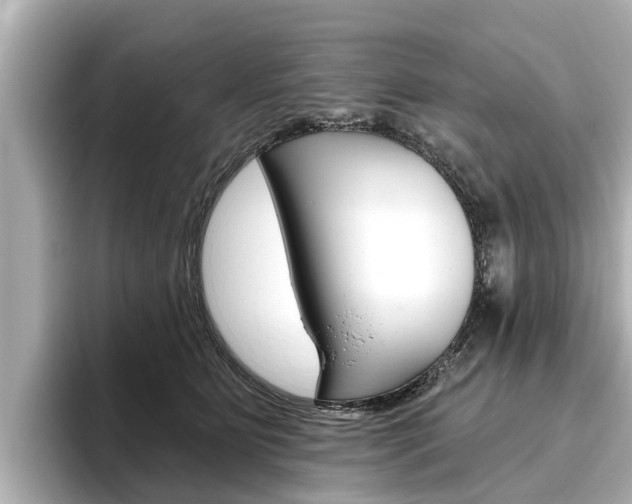 X0000096470515200801241141