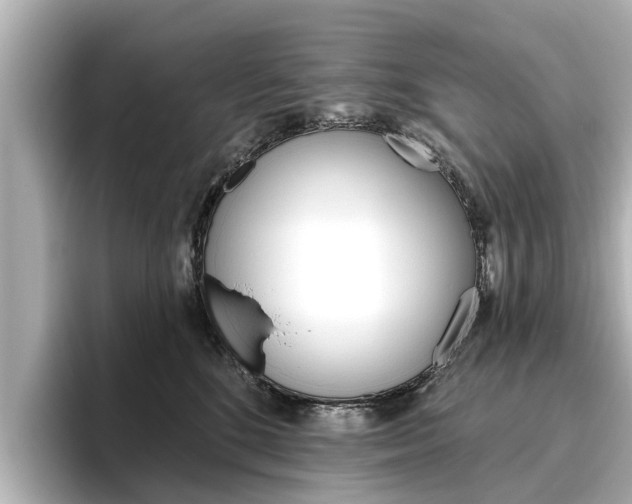 X0000096470520200801241141