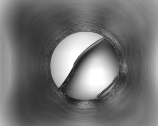 X0000096470521200801241141