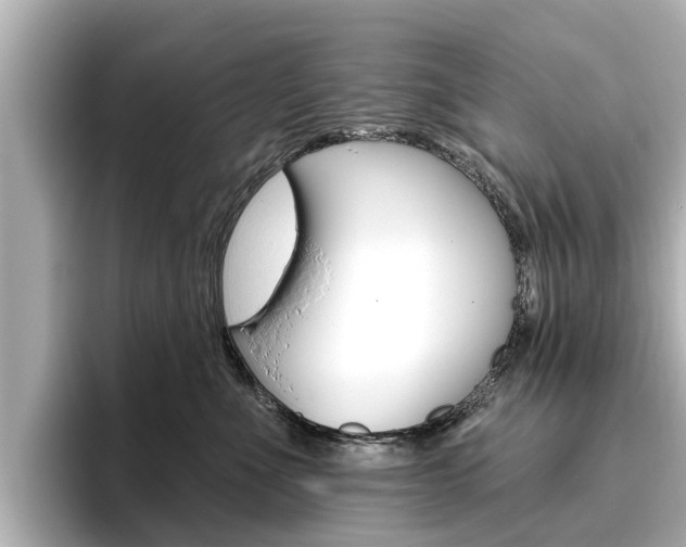 X0000096470523200801241141