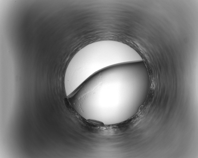 X0000096470524200801241141