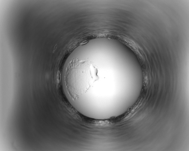 X0000096470525200801241141