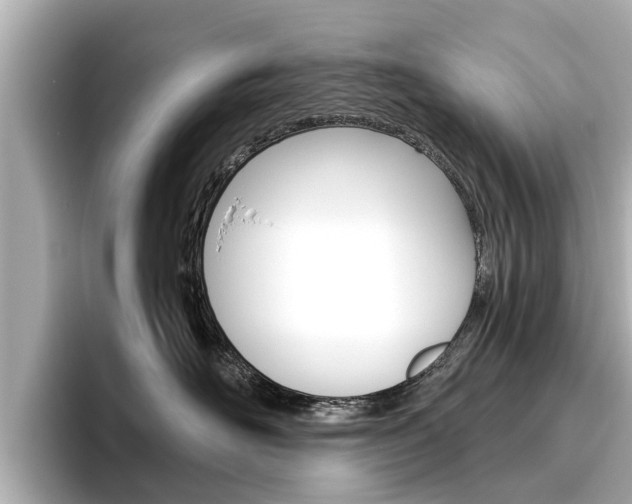 X0000096470526200801241141