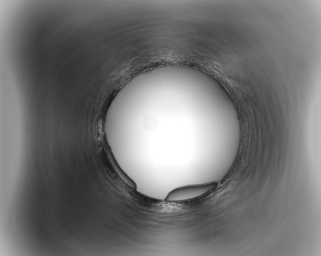 X0000096470528200801241141