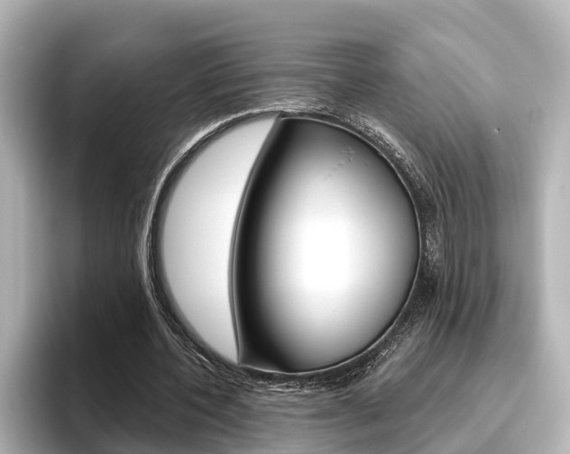 X0000096470532200801241140
