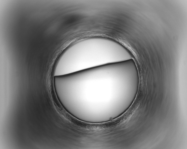 X0000096470533200801241140