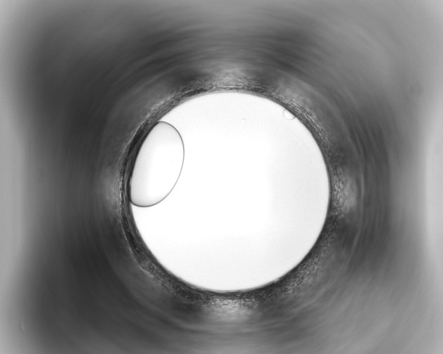 X0000096470534200801241140