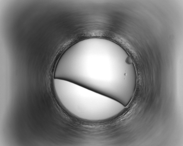 X0000096470537200801241140