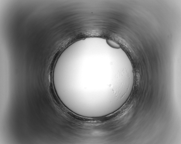 X0000096470541200801241140