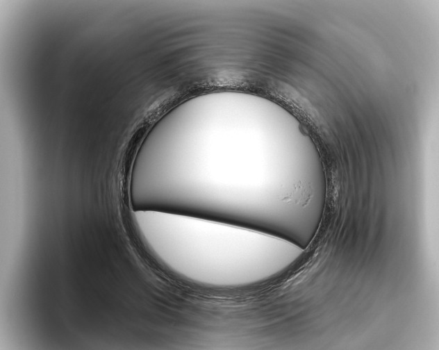 X0000096470542200801241140