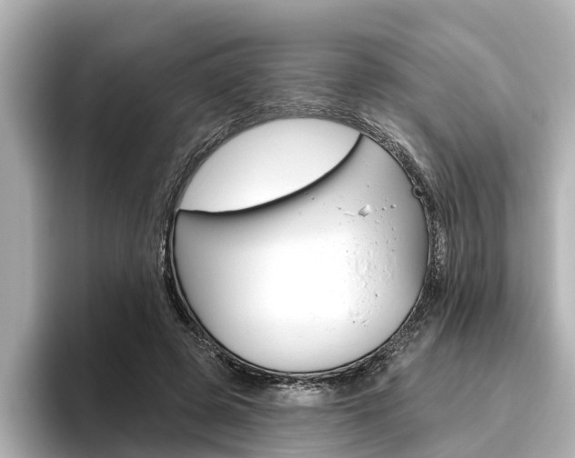 X0000096470545200801241140