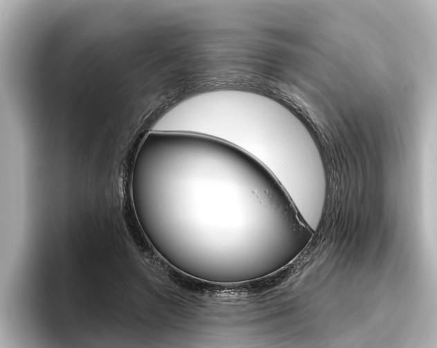 X0000096470546200801241140