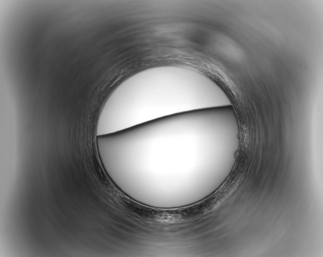 X0000096470549200801241140