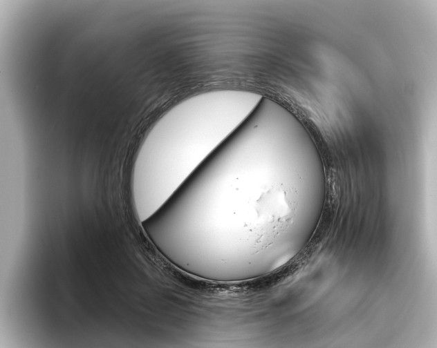 X0000096470550200801241140