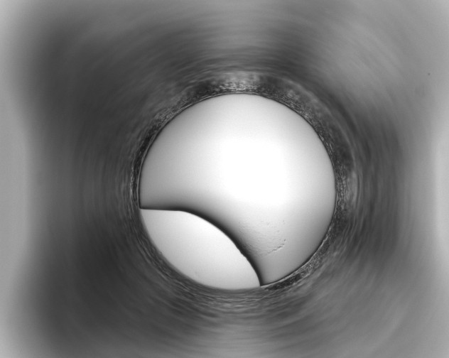 X0000096470553200801241140