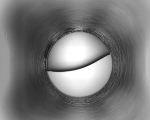 X0000096470554200801241140