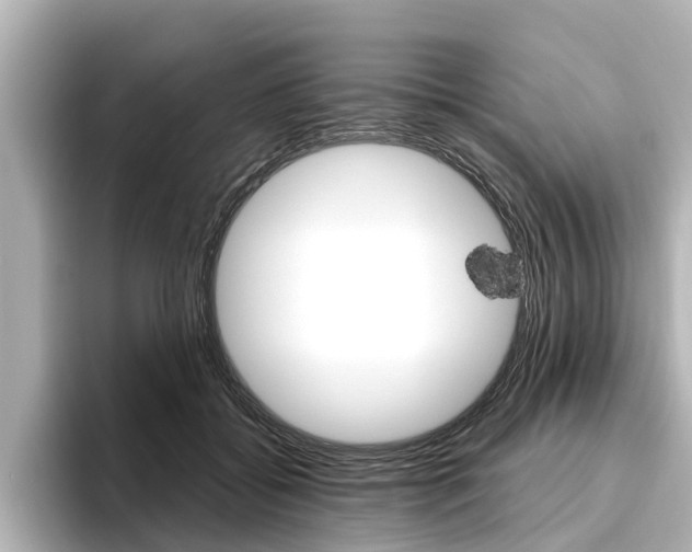 X0000096470556200801241140