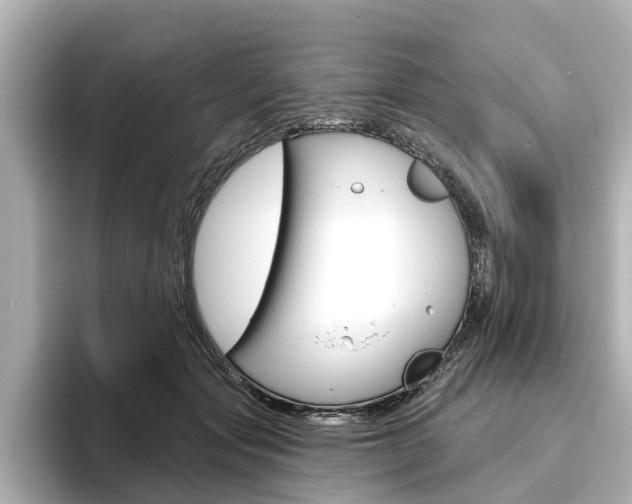 X0000096470557200801241140