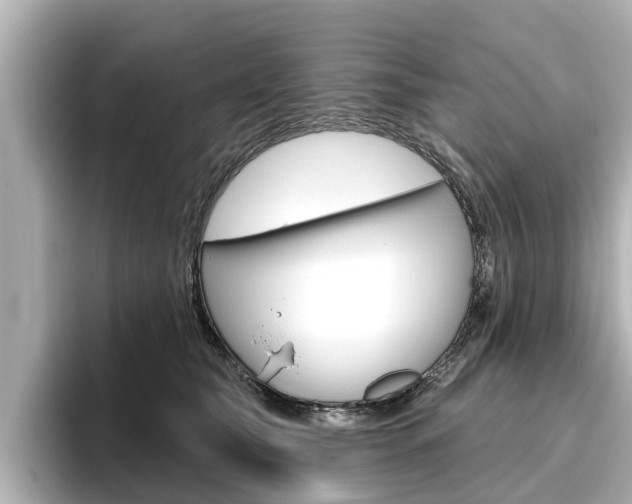 X0000096470565200801241140