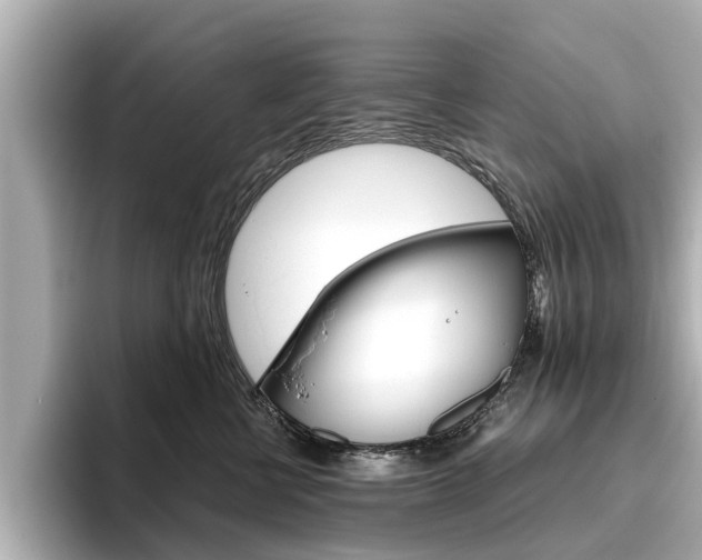 X0000096470570200801241141