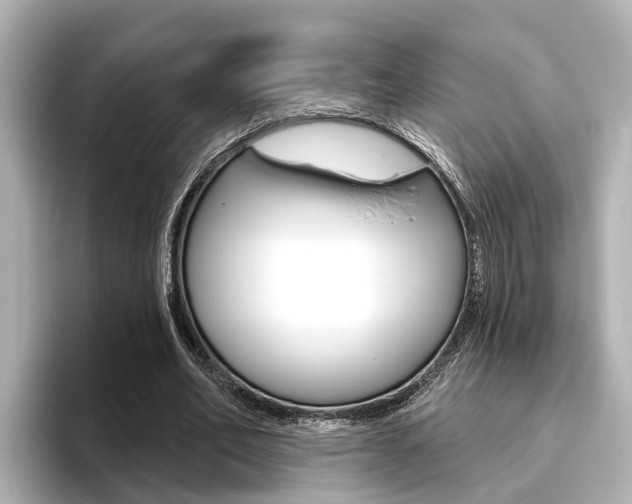 X0000096470582200801241140