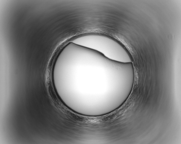 X0000096470583200801241140
