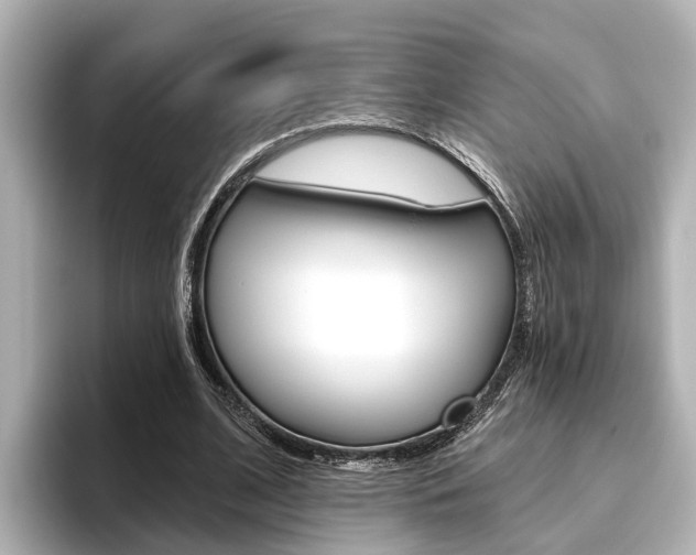 X0000096470584200801241140