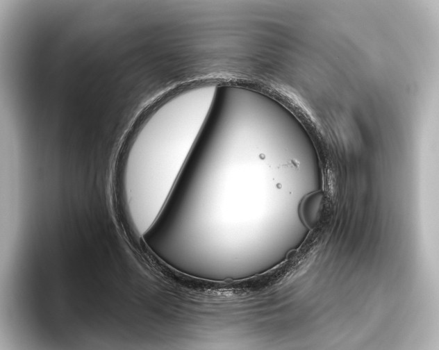 X0000096470588200801241140
