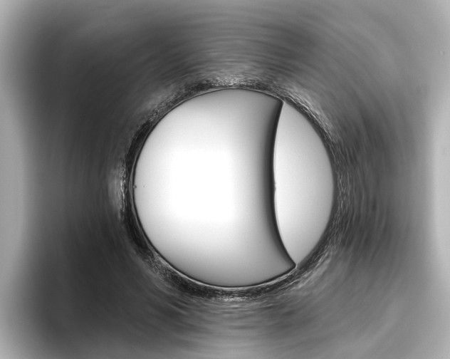 X0000096470590200801241140