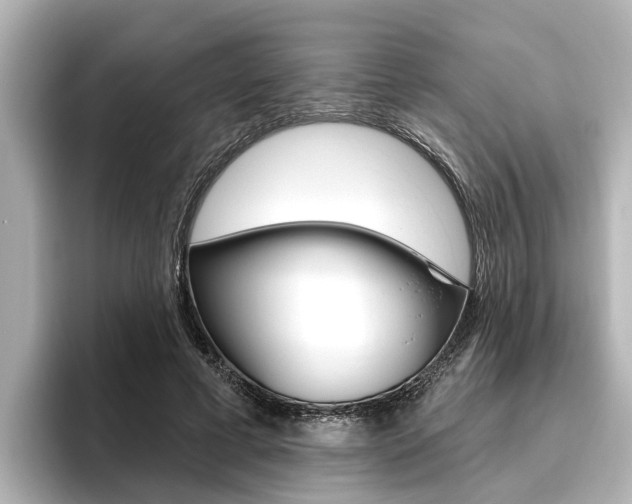X0000096470593200801241140