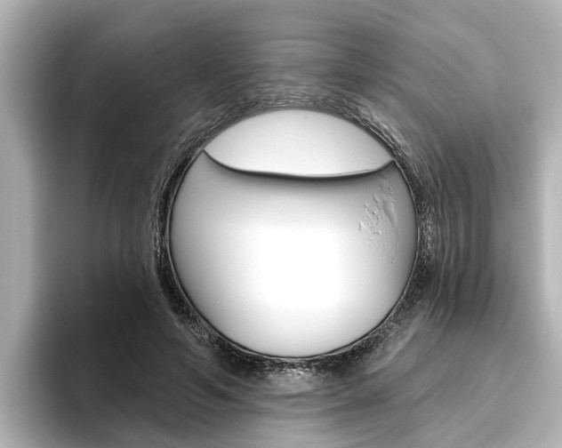 X0000096470594200801241140