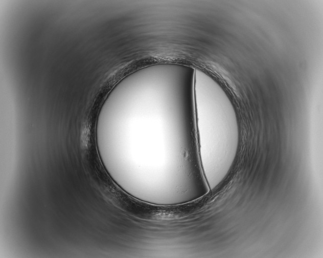 X0000096470596200801241140